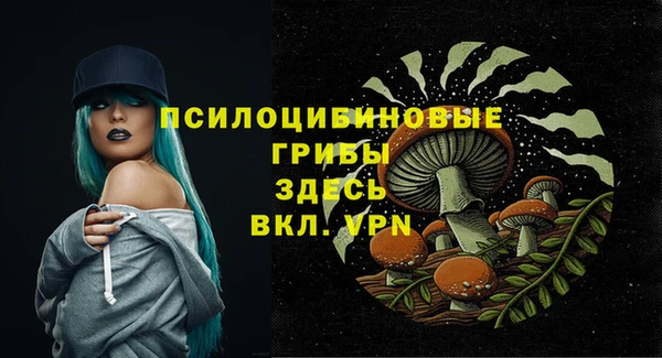 гашик Бородино