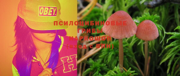 прущая мука Бронницы