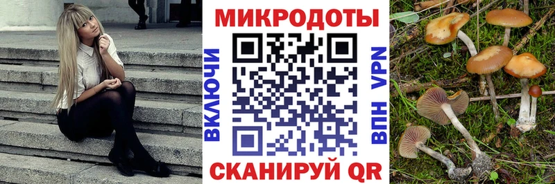 Галлюциногенные грибы Psilocybine cubensis  blacksprut маркетплейс  Рыбинск 